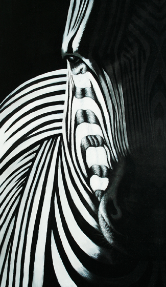 Kanvas Tablo Zebra  